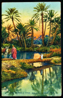 A65  ALGERIE CPA  SCENES ET TYPES - ALLEE DE PALMIERS DANS L' OASIS - Collections & Lots