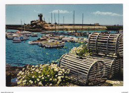 29 De Trégunc à Névez N°9993 Le Petit Port De TREVIGNON VOIR DOS Et Flamme De Concarneau En 1979 - Névez