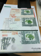 China Stamp Postally Used Cover Bamboo - Brieven En Documenten