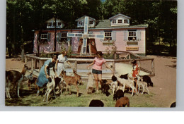 USA - NEW YORK - CATSKILLS, Animal Nursery - Catskills