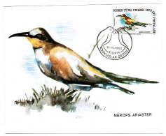 TURKISH CYPRUS CARD MAXIMUM - BIRDS - Cartas & Documentos