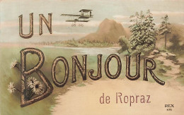 Un Bonjour De Ropraz Avion Pionniers - Ropraz