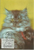 Cartes Maximum - Bulgarie - Gato - Chat - Cat - Brieven En Documenten