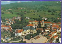 Carte Postale 42. Belmont De La Loire  Vue D'avion   Très Beau Plan - Belmont De La Loire