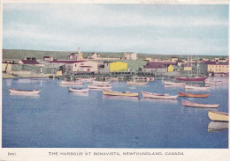 LE PORT DE BONAVISTA  TERRE-NEUVE CANADA THE HARBOUR AT BONAVISTA  NEWFOUNDLAND - Autres & Non Classés