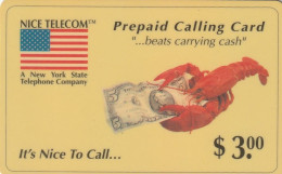 PREPAID PHONE CARD STATI UNITI  (CV5700 - Autres & Non Classés