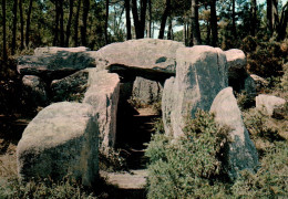 CPM - MÉGALITHES - PLOUHARNEL - Dolmen De Crucuno - Edition YR.Caoudal - Dolmen & Menhirs