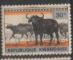 1976 RWANDA STAMP (USED) On  Wildlife /Fauna/Mammals /Syncerus Caffer/African Buffalo( Rwanda-Urundi Overprinted ) - Cows