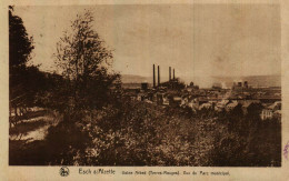 ESCH-SUR-ALZETTE   Usine ARBED (Terres Rouges) Vue Du Parc Municipal - Esch-Alzette