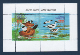 Turquie, Türkiye, **, Yv , Mi BL 44, Oiseaux, Érismature à Tête Blanche (Oxyura Leucocephala), L'Avocette élégante , - Blocs-feuillets