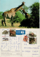 SOUTH AFRICA 2001  AIRMAIL POSTCARD SENT TO TARP - Storia Postale