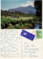 SOUTH AFRICA 1971  POSTCARD SENT TO MARKTREDWITZ - Briefe U. Dokumente