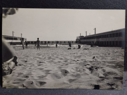 1956 Photo Australia MELBOURNE Beach - Océanie