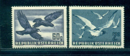 1950 Birds,Rook,Corvus Frugilegus,Black-headed Gull,Austria,Mi.955,MNH - Seagulls