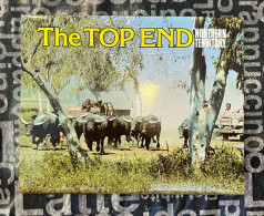 (Booklet 26-12-2023) Postcard Booklet - NT - The Top End (Buffalo Farming) - Unclassified