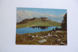 HAUTE NENDAZ  -  Le Lac De Tracouet  -  Les Diablerets ....    -  SUISSE - Nendaz