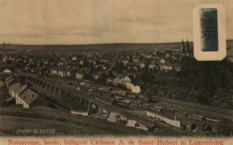 ESCH-SUR-ALZETTE  1914  Publicité : Naturreine, Beste, Billigste CICHORIE    A.de SAINT-HUBERT, In Luxemburg - Esch-sur-Alzette