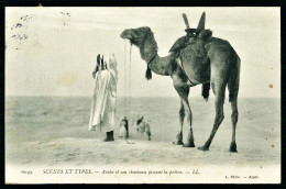 A65  ALGERIE CPA  SCENES ET TYPES - ARABE ET SON CHAMEAU FAISANT LA PRIERE - Collections & Lots