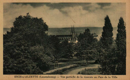 ESCH-SUR-ALZETTE  - Vue Partielle De La Roseraie Au Parc De La Ville - Esch-Alzette