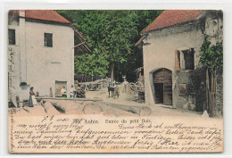 St. Aubin Entrée Du Petit Bois Saint-Aubin Billons 1905 - Saint-Aubin/Sauges