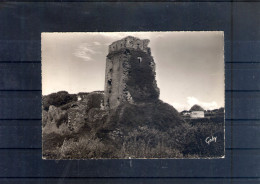 29. Kersaint. Ruines Du Château De Trémazan. Cpsm Grand Format - Kersaint-Plabennec