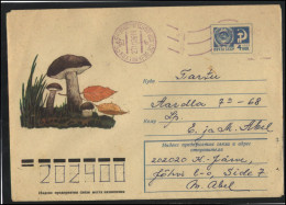 RUSSIA USSR Stationery USED ESTONIA AMBL 1342 KOHTLA-JARVE Mushrooms - Ohne Zuordnung