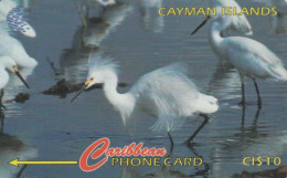 PHONE CARD CAYMAN ISLANDS (E75.2.7 - Kaimaninseln (Cayman I.)