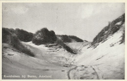 4905 37 Ameland, Kooiduinen Bij Buren.   - Ameland