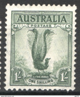 Australia 1937 Y.T.118 */MH VF/F - Nuovi