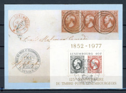 Z12-6  Luxembourg Carte Maximum N° Bloc 10  A Saisir !!! - Cartes Maximum