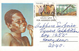 TRANSKEI - POSTCARD Ca 1984 - HONEYDEW/SA / 1523 - Transkei