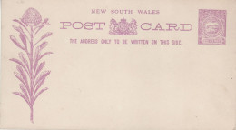 NEW SOUTH WALES 1888 POSTAL STATIONER POSTCARD UNUSED - Storia Postale