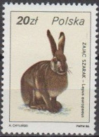 Poland 1986 (MNH) (Mi 3023) - European Hare (Lepus Europaeus) - Conigli