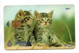 CHAT CAT Télécarte Puce Thaïlande  Phonecard  (R 769) - Thaïland