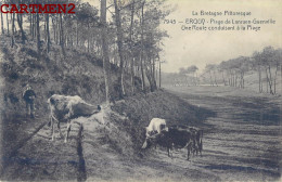 ERQUY PLAGE DE LANRUEN-GUENVILLE ROUTE CONDUISANT A LA PLAGE - Erquy