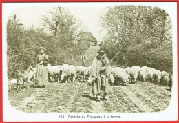 Petits Métiers Disparus - Bourgogne Nivernais Morvan - Rentrée Du Troupeau à La Ferme - Elevage Agriculture - Repro CPA - Bourgogne