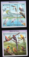 Congo Oiseaux - Other & Unclassified