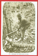 Petits Métiers Disparus - Bourgogne Nivernais Morvan - Abattage De Vernes Dans La Forêt - Bûcheron - Repro CPA - Bourgogne