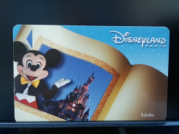 T-251 - DISNEYLAND PARIS, TELECARD, PHONECARD,  - Sonstige & Ohne Zuordnung