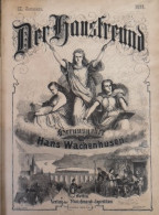 Der Hausfreund. Illustrirtes Volksblatt. IX. Jahrgang. 1866. No. 1 Bis No. 48. - Other & Unclassified