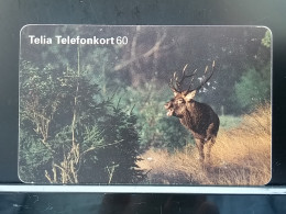 T-305 - SWEDEN TELECARD, PHONECARD, DEER - Turkey