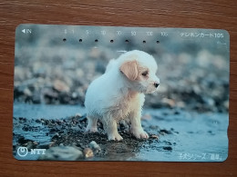 T-376 - JAPAN, Japon, Nipon, TELECARD, PHONECARD, Dog, Chien, NTT 111-040 - Dogs