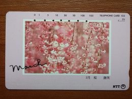 T-384 - JAPAN, Japon, Nipon, TELECARD, PHONECARD, Flower, Fleur, NTT 271-055 - Flowers