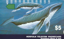 PHONE CARD ISOLE NORFOLK  (E73.31.6 - Ile Norfolk