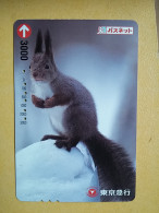 T-406 - JAPAN, Japon, Nipon, Carte Prepayee, Prepaid Card, Animal, écureuil, Squirrel - Other & Unclassified