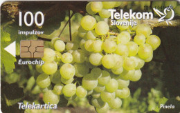 PHONE CARD SLOVENIA (E36.39.5 - Eslovenia