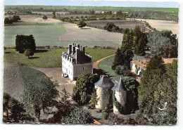 Chantonnay.  Le Chateau De Pally. En Avion Au Dessus De.. Edit Lapie  .  CPSM GF. Vue Aerienne    - Chantonnay