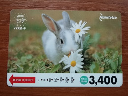 T-429 - JAPAN, Japon, Nipon, Carte Prepayee, Prepaid, Animal, Rabbit, Lapin - Lapins