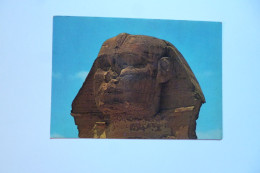 GIZA  -  The Head Of The Sphinx  -  EGYPTE -  EGYPT - Gizeh