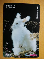 T-429 - JAPAN, Japon, Nipon, Carte Prepayee, Prepaid, Animal, Rabbit, Lapin - Rabbits